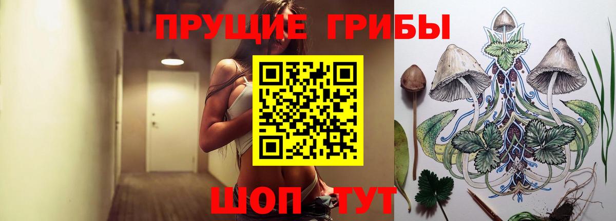 Псилоцибиновые грибы Psilocybine cubensis Петропавловск-Камчатский